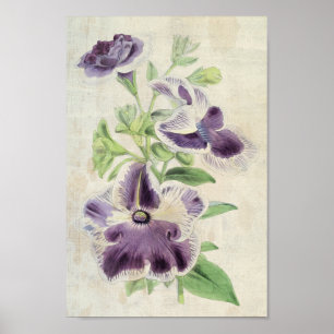  botanische clipse en Annie Kien Petunias Poster