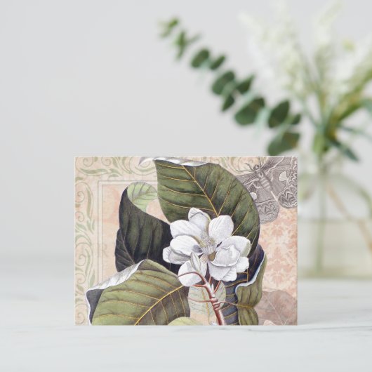  Botanische Collage met Magnolia Briefkaart (Staand voorkant)