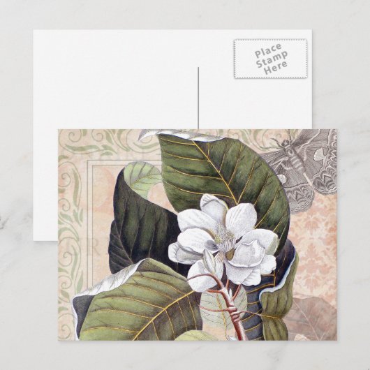  Botanische Collage met Magnolia Briefkaart (Voorkant / Achterkant)