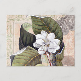 Botanische Collage met Magnolia Briefkaart