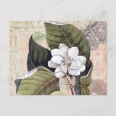  Botanische Collage met Magnolia Briefkaart (Voorkant)