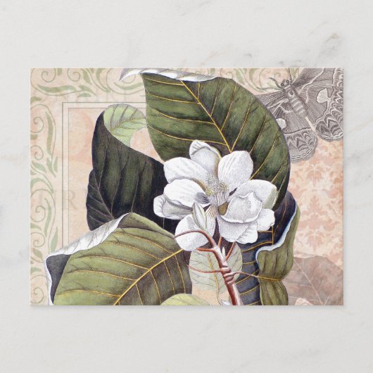  Botanische Collage met Magnolia Briefkaart (Voorkant)