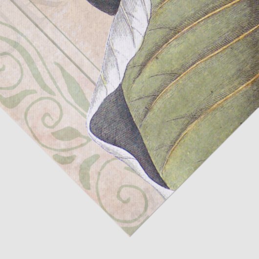 botanische collage met witte magnolia tissuepapier (Detail)