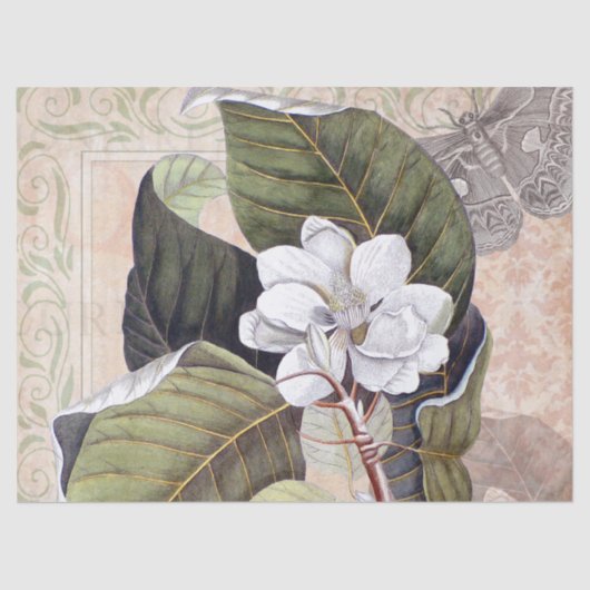 botanische collage met witte magnolia tissuepapier (Voorkant)