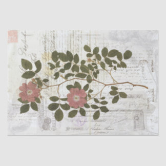  botanische collage - Weefselpapier Tissuepapier