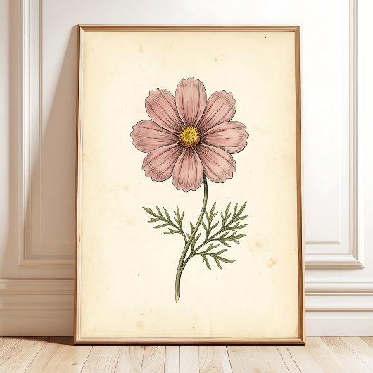 Botanische Cosmos Muur Kunstprint Poster