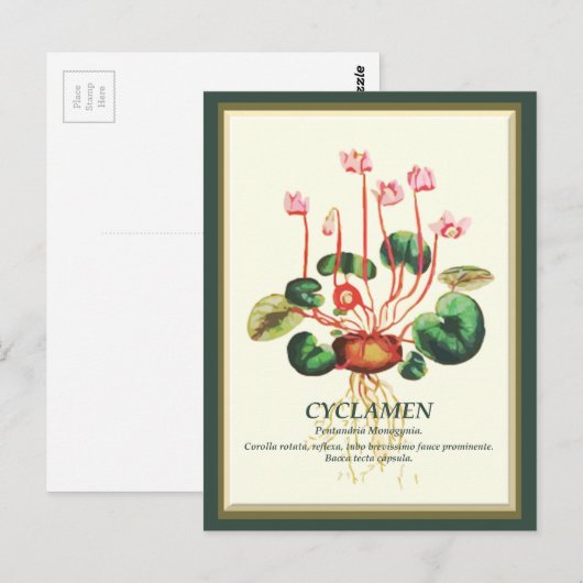 Botanische Cyclamen Tuin bloemkunst Briefkaart (Voorkant / Achterkant)