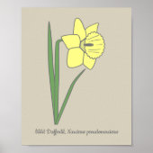 Botanische Daffodil pastelbloem Poster (Voorkant)