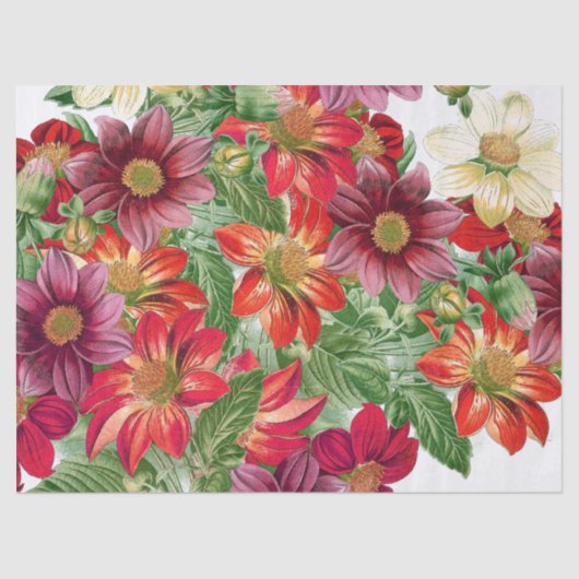 Botanische Dahlia Flowers Floral Tissue Paper Tissuepapier (Voorkant)
