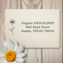 Botanische Daisy Line Art Bloem