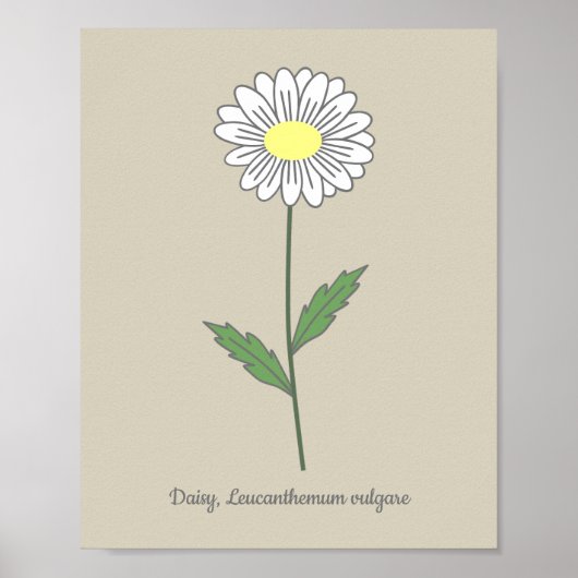 Botanische Daisy Pastel Bloem Poster (Voorkant)