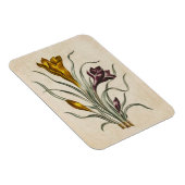 botanische draal Crocus Magnet Magneet (Rechterzijde)
