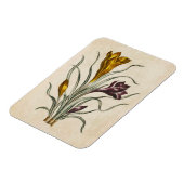 botanische draal Crocus Magnet Magneet (Linkerzijde)