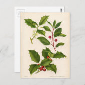 Botanische Druk - Berg & Amerikaanse Hulst Briefkaart (Voorkant / Achterkant)