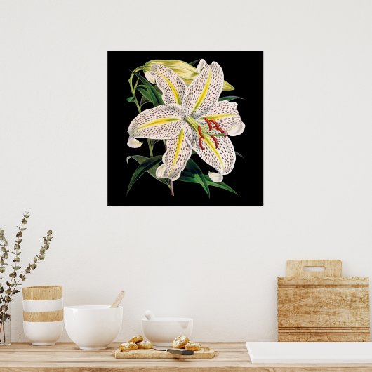 botanische druk op witte tijger poster (Keuken)