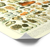 Botanische drukpaddenstoelen WetenschapsPoster Poster (Hoek)