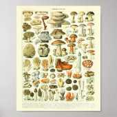  Botanische drukpaddenstoelen WetenschapsPoster Poster (Voorkant)