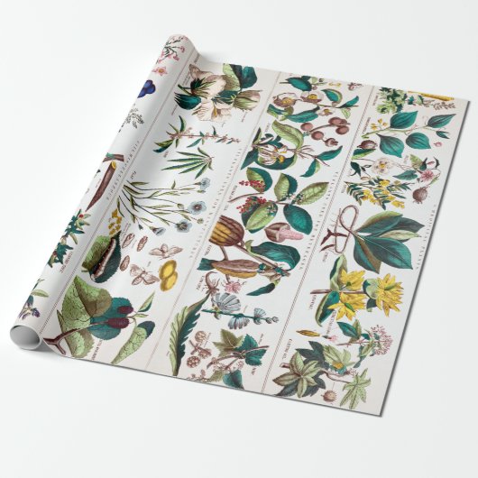  botanische educatieve kaart cadeaupapier (Uitgerold)
