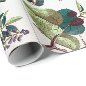  botanische educatieve kaart cadeaupapier (Rol Hoek)