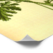  Botanische Eikenblad Geranium Illustratie Poster (Hoek)