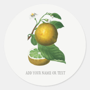 BOTANISCHE ENVELOPE SEAL MET CITRUS RONDE STICKER