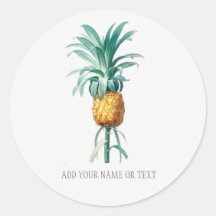  BOTANISCHE ENVELOPE SEAL MET PINEAPPEL