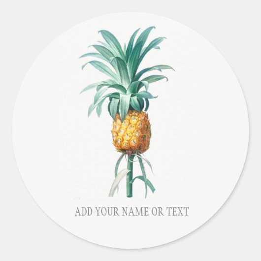  BOTANISCHE ENVELOPE SEAL MET PINEAPPEL RONDE STICKER (Voorkant)