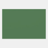 Botanische feestdag groen inpakpapier vel (Voorkant 3)