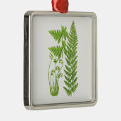 Botanische fern Illustratie nr. 7 Tropisch decor Metalen Ornament (Rechts)