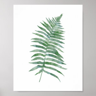 Botanische fern Leaf Green Waterverf Natuur Plant Poster