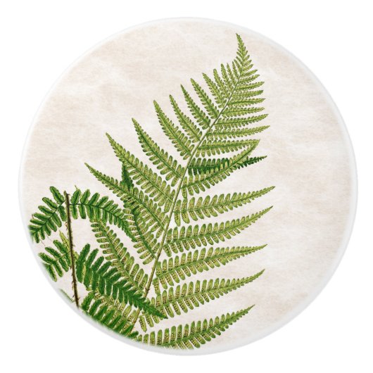 Botanische fern Leaves Art Knob Keramische Knop (Voorkant)