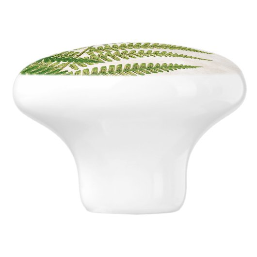Botanische fern Leaves Art Knob Keramische Knop (Zijkant)