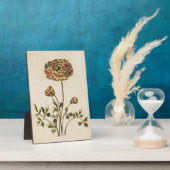 botanische flora Ranunculus Fotoplaat (Zijkant)