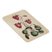  botanische Floral Cyclamen Magnet Magneet (Rechterzijde)