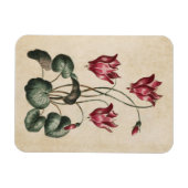  botanische Floral Cyclamen Magnet Magneet (Horizontaal)