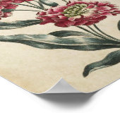  botanische Floral, dubbelzijdige afdrukken Poster (Hoek)