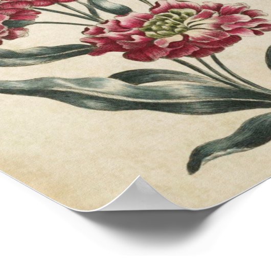  botanische Floral, dubbelzijdige afdrukken Poster (Hoek)