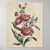 botanische Floral, dubbelzijdige afdrukken Poster (Voorkant)