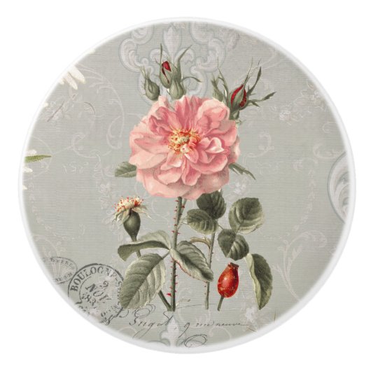 Botanische Floral  Franse Blush roze rozen  Keramische Knop (Voorkant)
