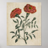  botanische Floral Franse marigold print (Voorkant)