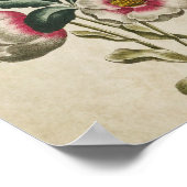  botanische Floral Hellebore Print (Hoek)