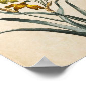  botanische Floral Jonquil Print (Hoek)