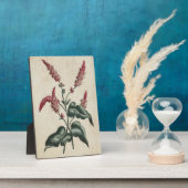  botanische Floral Persicaria Fotoplaat (Zijkant)