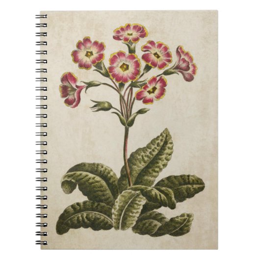  Botanische Floral Polianthus Illustratie Notitieboek (Voorkant)