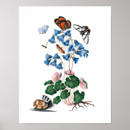botanische florale posters