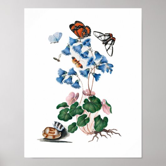 botanische florale posters (Voorkant)