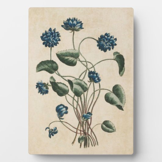  botanische florenzen fotoplaat (voorkant)