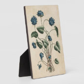  botanische florenzen fotoplaat (Zijkant)