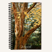 Botanische foto van Japanse Stewartia-boom Notitieboek (Voorkant)