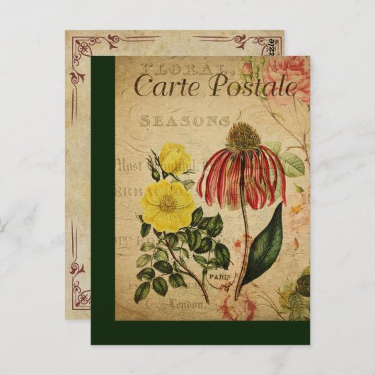 botanische Franse Post Kaart (Voorkant / Achterkant)